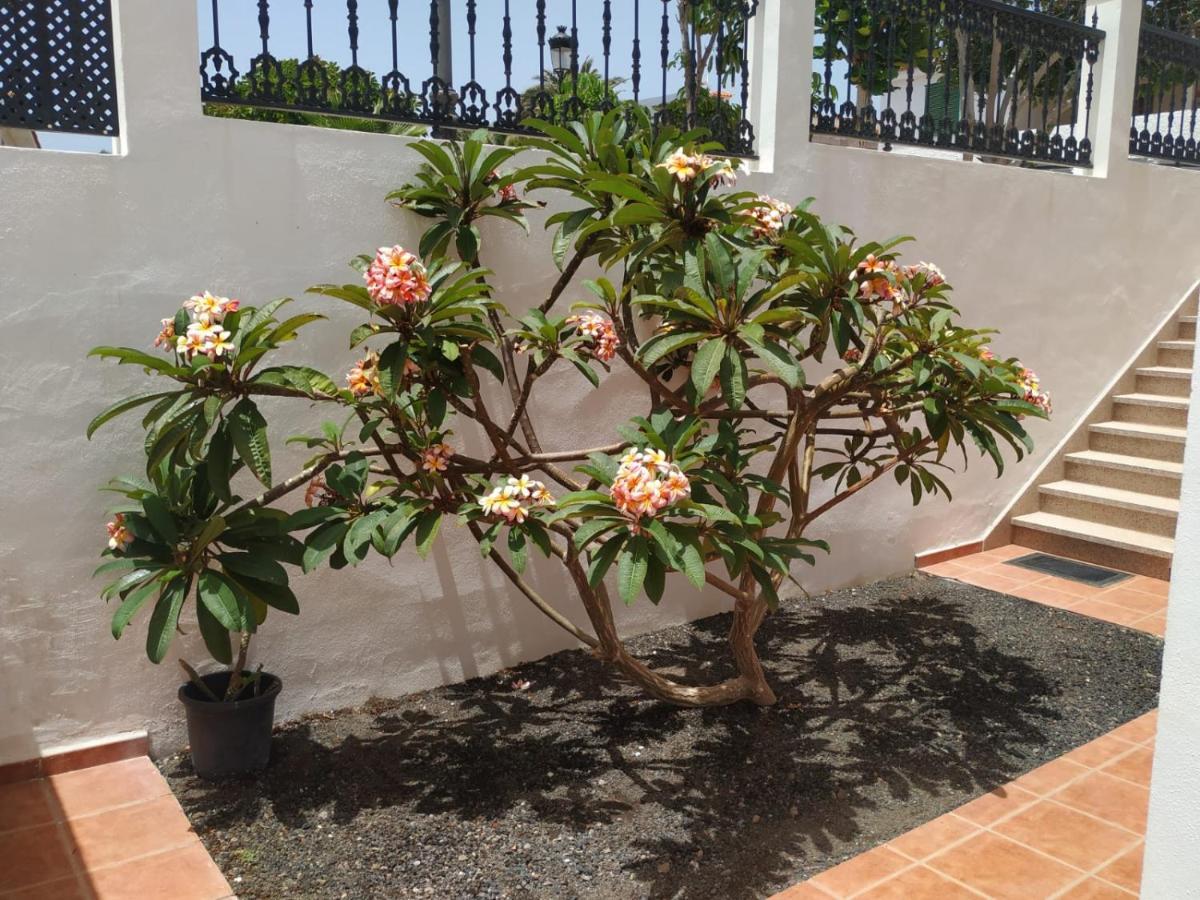 Punta Negra Apartament Puerto de Santiago (Tenerife)