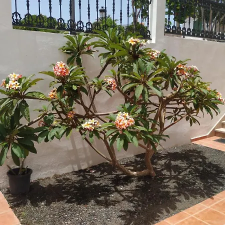 Punta Negra Apartment Puerto de Santiago  Exterior photo